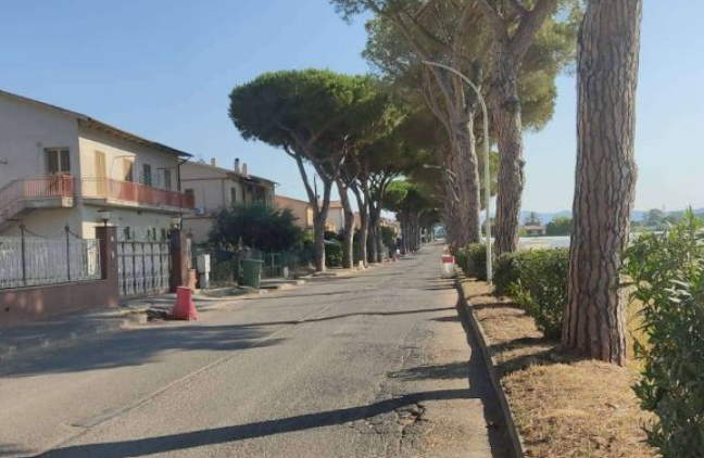 Montalto – Viale dei Pini, l’Amministrazione smentisce le minoranze: «Chi era assente firma comunicati per procura, intanto la rotatoria fuori norma graverà sulle tasche dei cittadini»