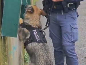 Roma – Un etto di cocaina nei vani tecnici di un condominio: coppia incastrata dal cane Rio (VIDEO)