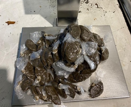 Civitavecchia – Tenta di introdurre sigarette e tabacco dalla Tunisia: maxi multa e sequestro al porto (FOTO)
