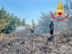 Incendio al confine con la Tuscia, fiamme lungo la provinciale tra Sorano e Onano