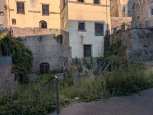 Viterbo – Palazzo di Vico tra erbacce e degrado: la protesta dei residenti nel cuore del centro storico (FOTO)
