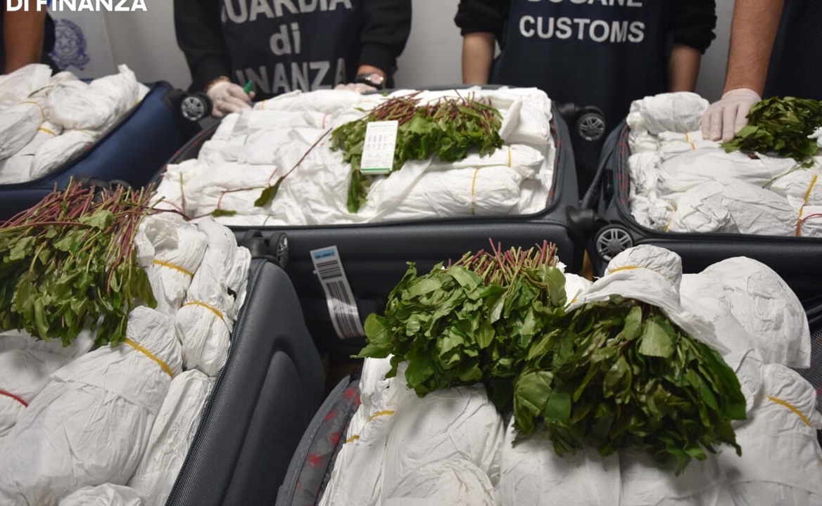 Fiumicino – Maxi sequestro di khat all’aeroporto: 216 chili nascosti nei bagagli di un passeggero