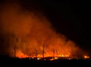 Tarquinia – Incendio nella Riserva delle Saline: rogo illumina la notte, mobilitati i soccorsi (FOTO E VIDEO)