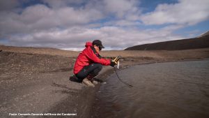 Un piccolo crostaceo rivela come sta cambiando il clima nell’Artico