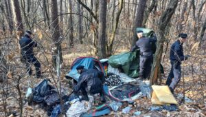 Schiavi nel bosco: la tratta della droga che sfrutta i migranti nella Tuscia