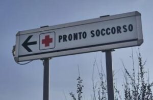 Morso di zecca e rischio encefalite, Bassetti: “Grave infezione virale, massima attenzione”