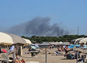 Incendio vicino ai binari a Torrevaldaliga Nord: linea ferroviaria bloccata, treni in tilt tra Civitavecchia e Tarquinia (FOTO)