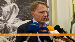 Agroalimentare, Lollobrigida “Controlli e risorse per il settore cerealicolo”
