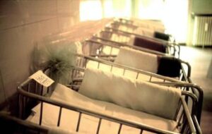 Natalità, il report: “Oltre 6 italiani su 10 rinunciano a figli per motivi economici e sociali”