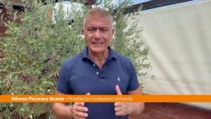 Pecoraro Scanio “Arrestare incendiari e sostenere sindaci e agricoltori”