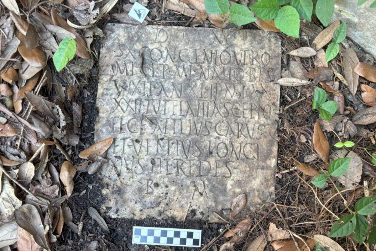 Civitavecchia ritrova un prezioso reperto romano disperso durante la guerra: tornerà al Museo archeologico nazionale (FOTO)
