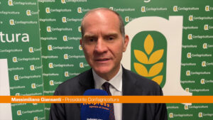 Giansanti “Sulla Xylella dare risposte concrete ai nostri agricoltori”