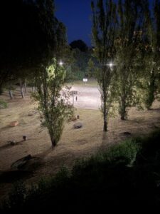 Viterbo – C’è posta per la sindaca Frontini: “Al campo di basket de La Quercia luce accesa di notte e schiamazzi”