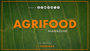 Agrifood Magazine – 19/8/2026