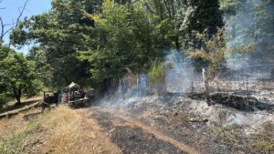 Incendio al Lago di Vico, sul posto un bivacco abusivo con prodotti infiammabili