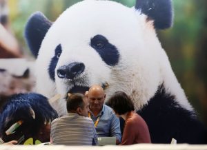Cina, in aumento dell’11,3% i ricavi dell’industria pubblicitaria