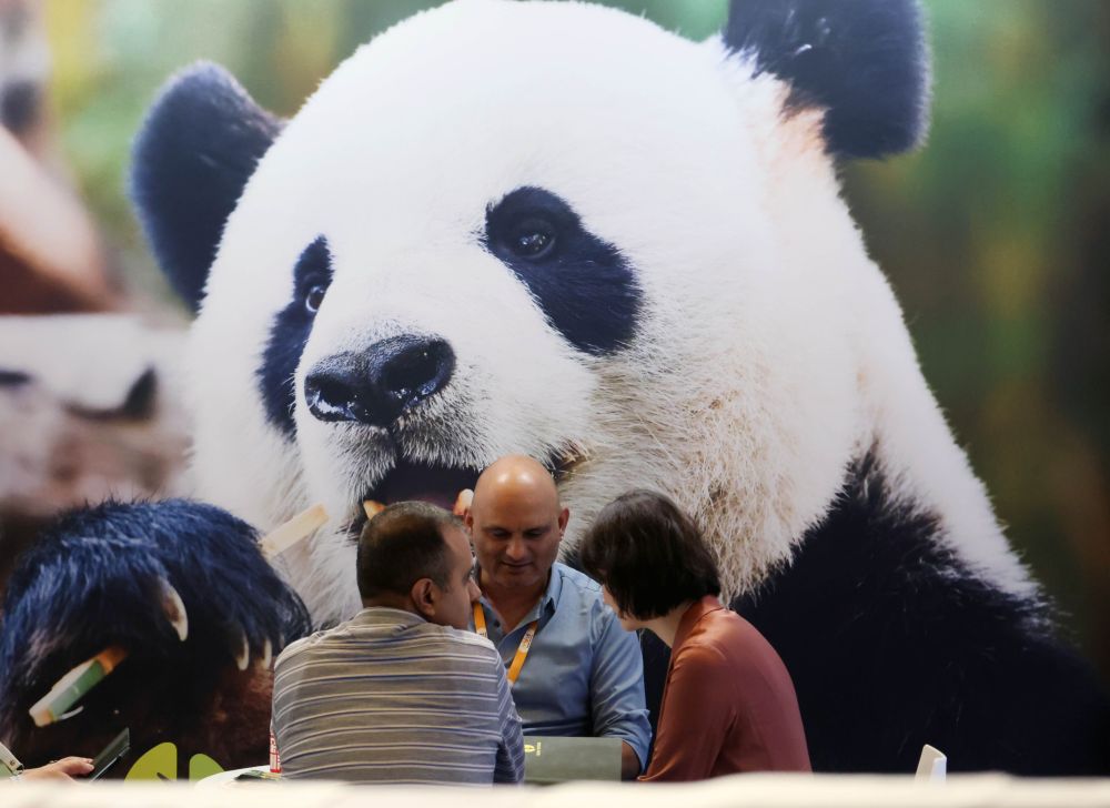 Cina, in aumento dell’11,3% i ricavi dell’industria pubblicitaria