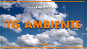 Tg Ambiente – 2/8/2026