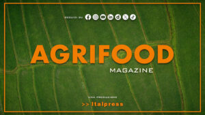Agrifood Magazine – 26/8/2026