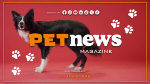 PetNews Magazine – 3/8/2026
