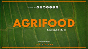 Agrifood Magazine – 12/8/2026