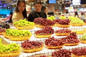 Cina, vendita al dettaglio di beni e servizi a +2,6% nei primi 7 mesi