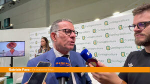 Pensioni, Fava “Favorire il Terzo Pilastro è fondamentale”