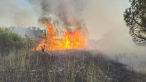 Montalto di Castro – Diversi incendi in poche ore sull’Aurelia: sospetto piromane in azione (FOTO)