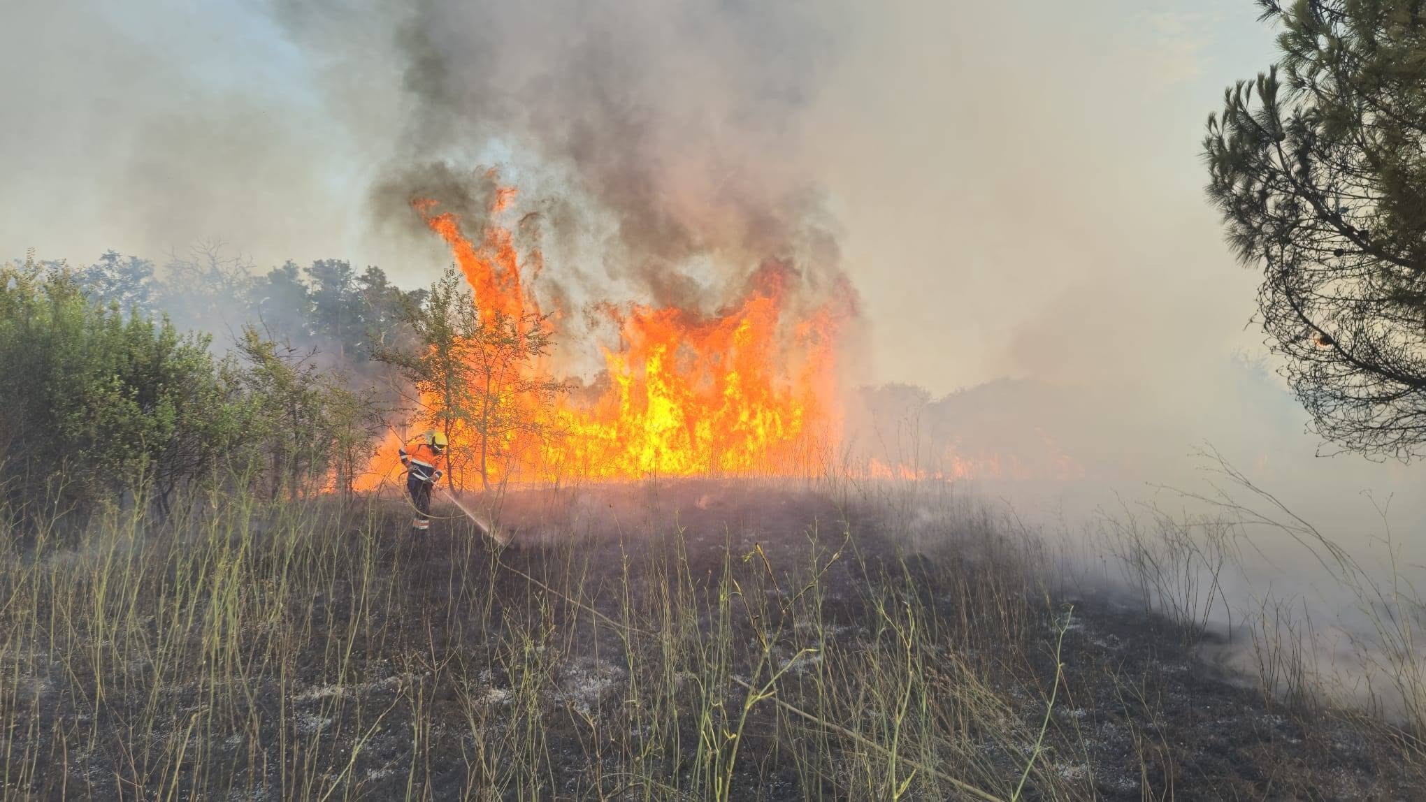 Montalto di Castro – Diversi incendi in poche ore sull’Aurelia: sospetto piromane in azione (FOTO)