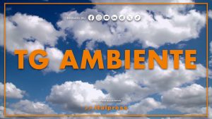 Tg Ambiente – 30/8/2026