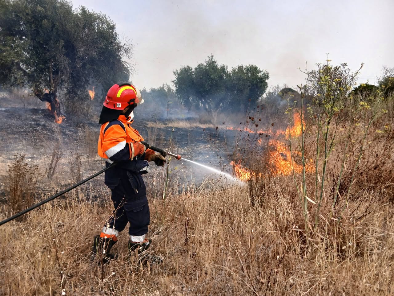 Tre incendi in poche ore a Tarquinia, roghi sulla Litoranea, al Pidocchio e tra Monterozzi e Aurelia bis (FOTO)