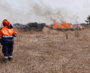 Ancora incendi a Tarquinia, due roghi in poche ore: interventi anche nella zona delle tombe etrusche