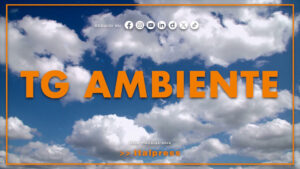 Tg Ambiente – 23/8/2026