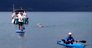 In sette ore circumnaviga a nuoto il Lago di Bracciano, Umberto Casani a Hero Bracciano