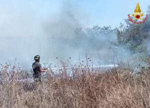 Vasto incendio ad Anguillara, fiamme vicino alle abitazioni: mobilitati i Vigili del fuoco