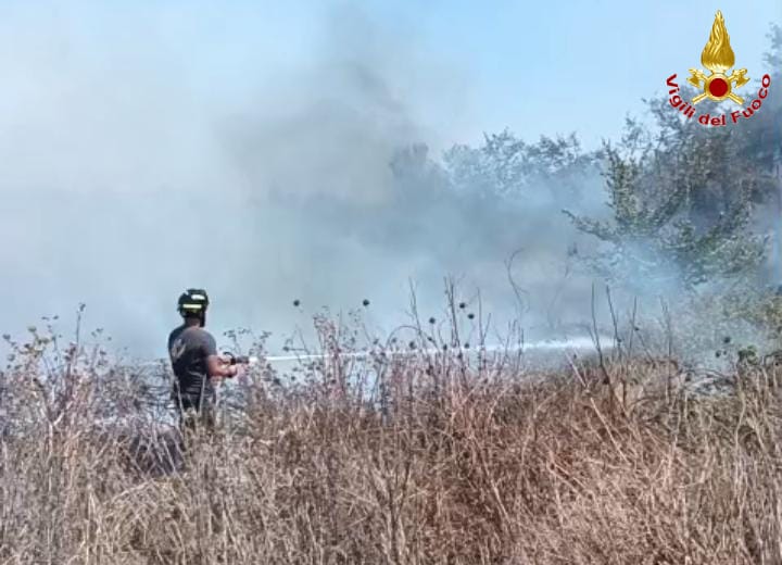 Vasto incendio ad Anguillara, fiamme vicino alle abitazioni: mobilitati i Vigili del fuoco