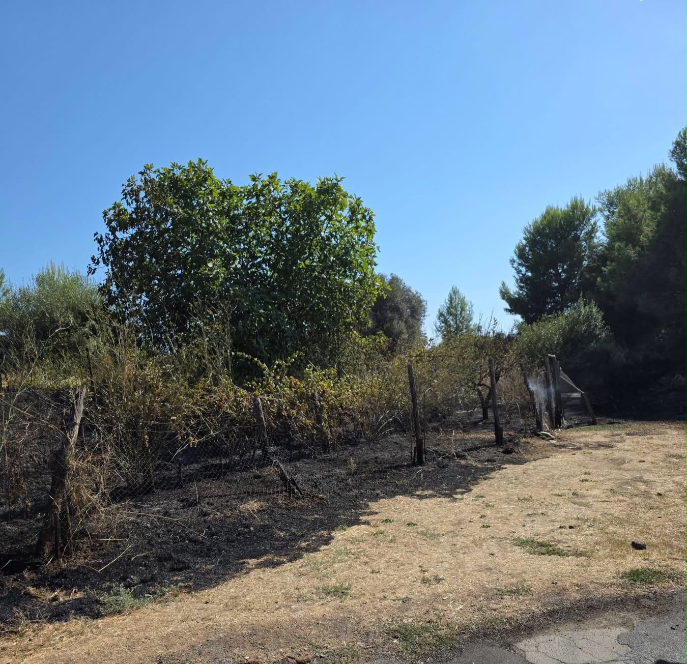 Montalto di Castro – Incendio di sterpaglie, intervento rapido di Protezione civile e Vigili del fuoco (FOTO)