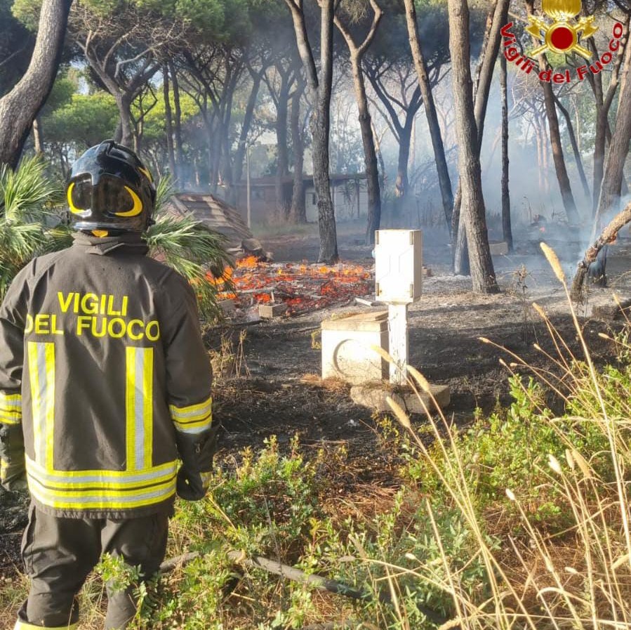 Incendio alla Frasca, fiamme nell’ex campeggio di Civitavecchia: i vigili del fuoco salvano roulotte e bungalow