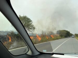 Tarquinia, incendio al bivio di via Ripagretta: fiamme a bordo strada, paura per le case e la necropoli etrusca (FOTO)