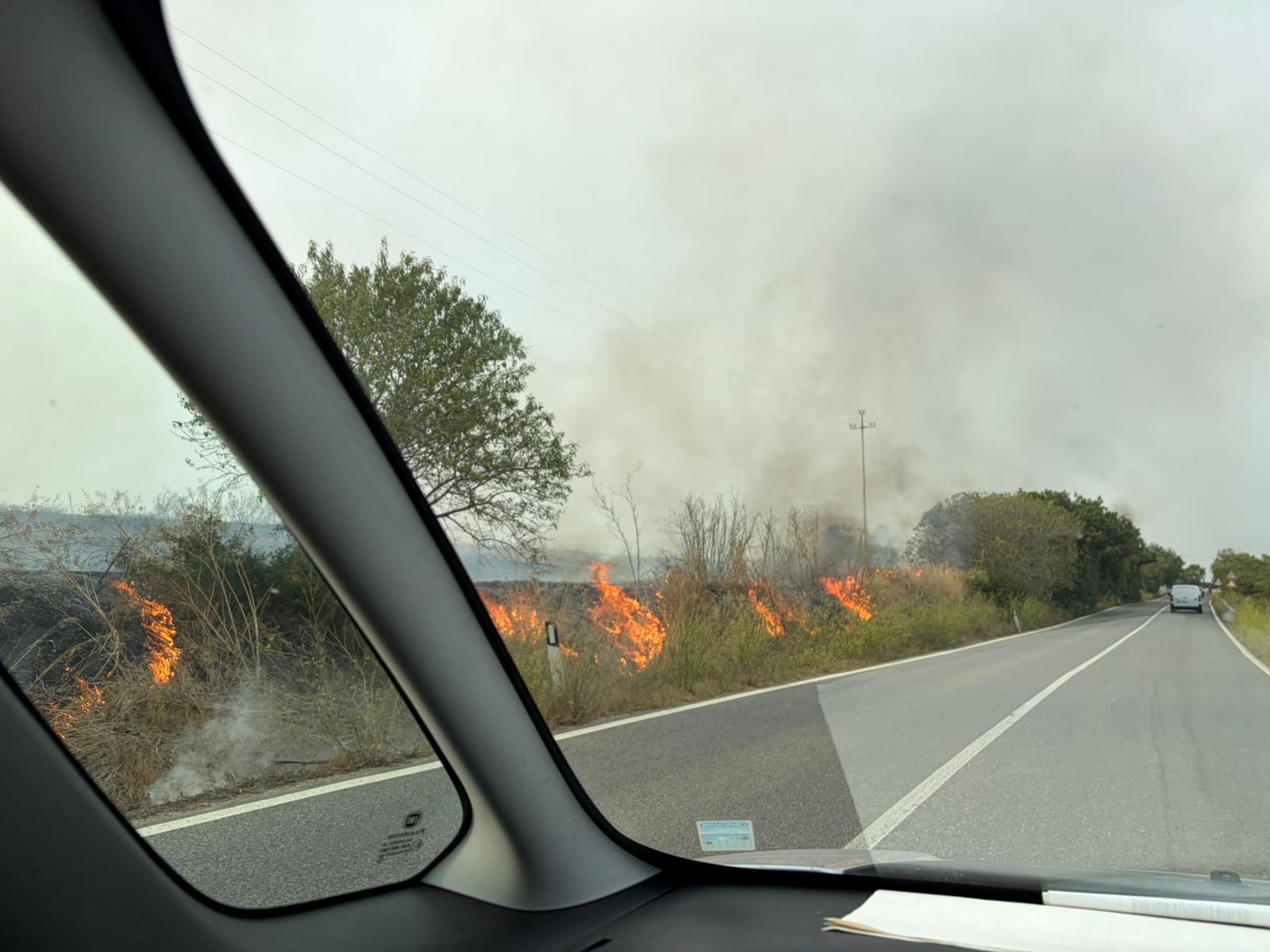 Tarquinia, incendio al bivio di via Ripagretta: fiamme a bordo strada, paura per le case e la necropoli etrusca (FOTO)