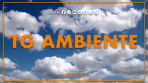 Tg Ambiente – 9/8/2026