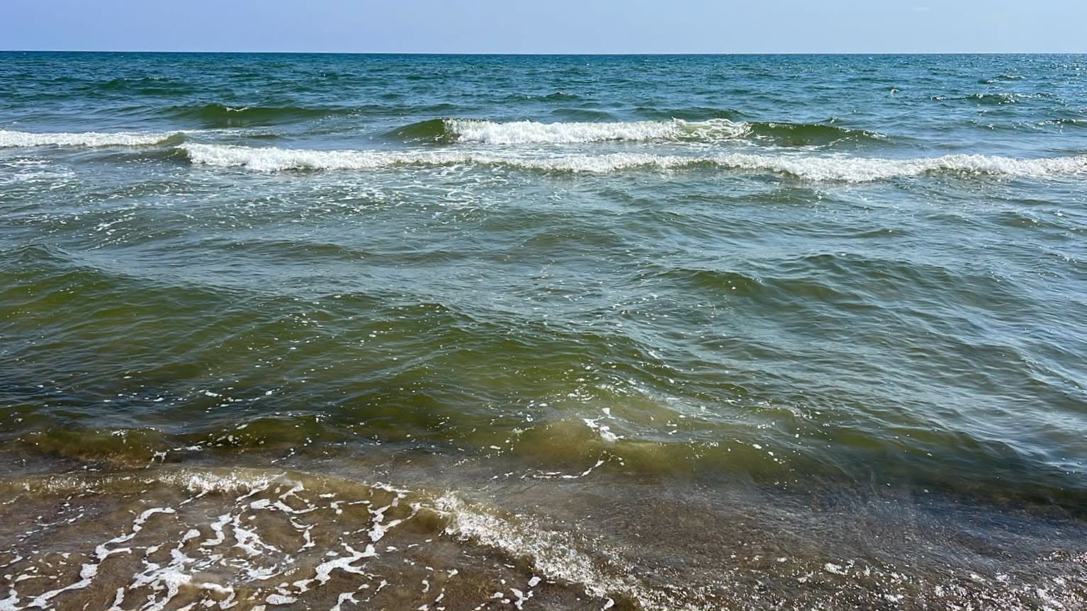 Schiuma e acqua colorata in mare a Montalto di Castro. Cosa succede? Arpa Lazio fa chiarezza