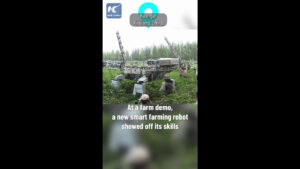 Cina, robot aiuta i coltivatori in un’azienda agricola nello Xinjiang