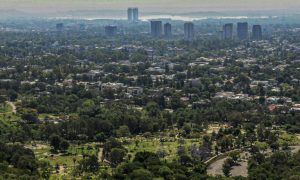 Incendio in un ospedale a Islamabad in Pakistan, morti 14 neonati