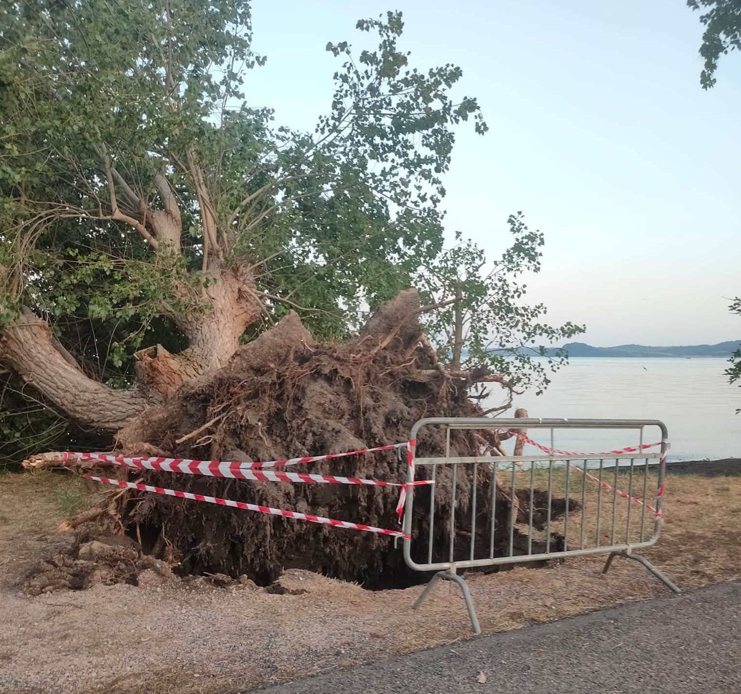 Gradoli – Il maltempo devasta il lungolago: alberi giganteschi abbattuti e auto distrutte. Sfiorata la tragedia (FOTO)