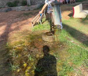 Viterbo, la fontanella del parco Chiara Lubich a porta della Verità perde da settimane: sui social è polemica