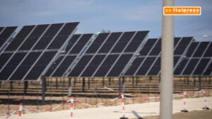 Nadara e Amazon, in Sicilia il più grande impianto agrivoltaico d’Italia