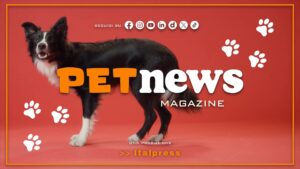 PetNews Magazine – 14/9/2026