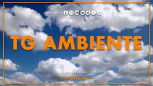 Tg Ambiente – 13/9/2026