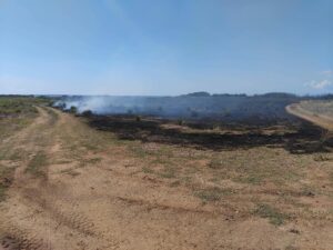 Tarquinia – Incendio sulla Litoranea: intervento di AEOPC e Vigili del fuoco a Spinicci
